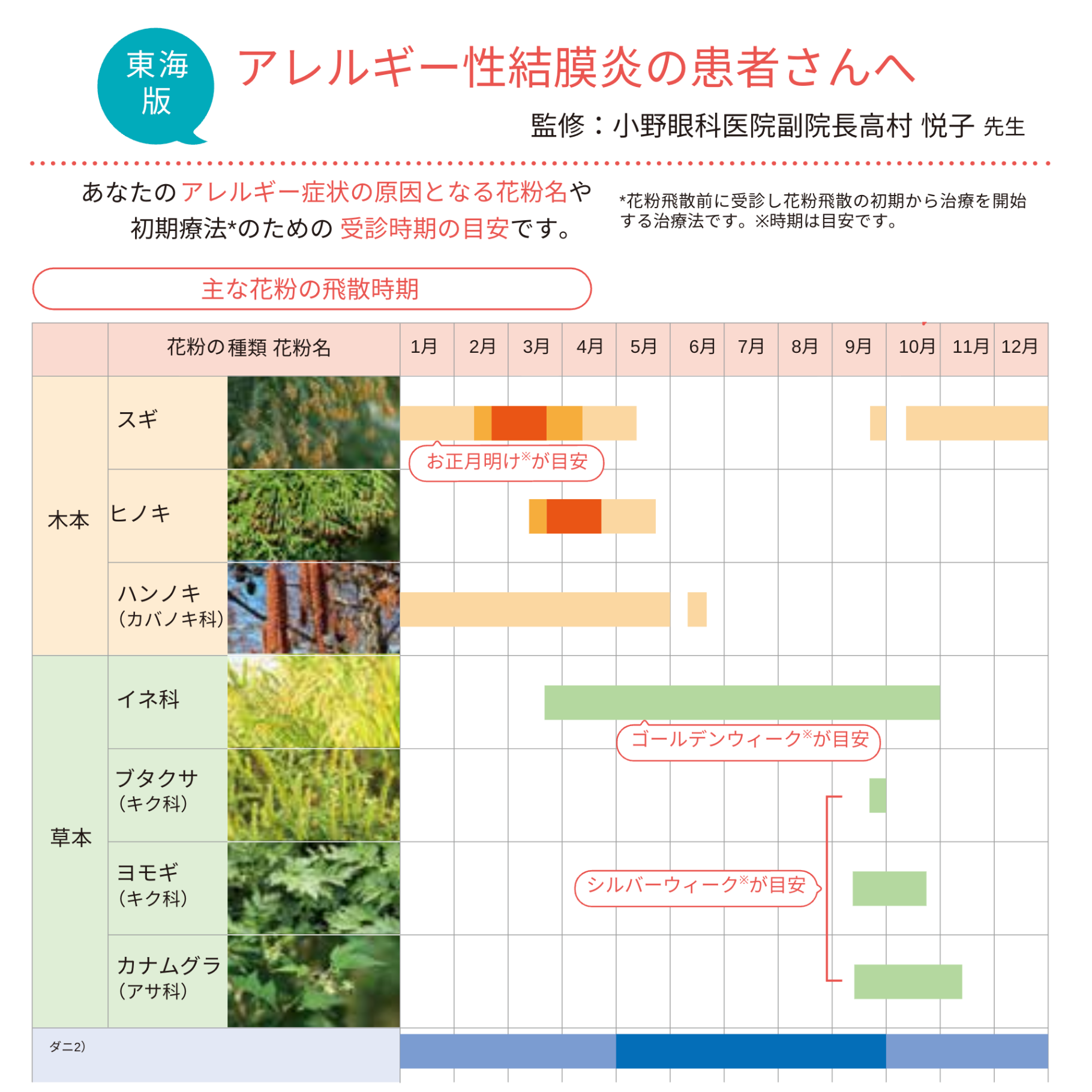 東海地方のスギ、ヒノキ、ハンノキ、イネ科、ブタクサ、ヨモギ、カナムグラの花粉飛散時期と、眼科受診の目安を示した参天製薬の花粉カレンダー。